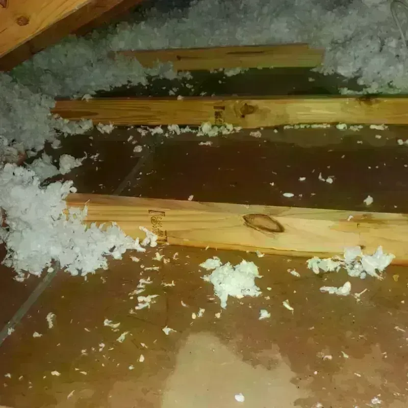 Attic Water Damage in West Point, VA